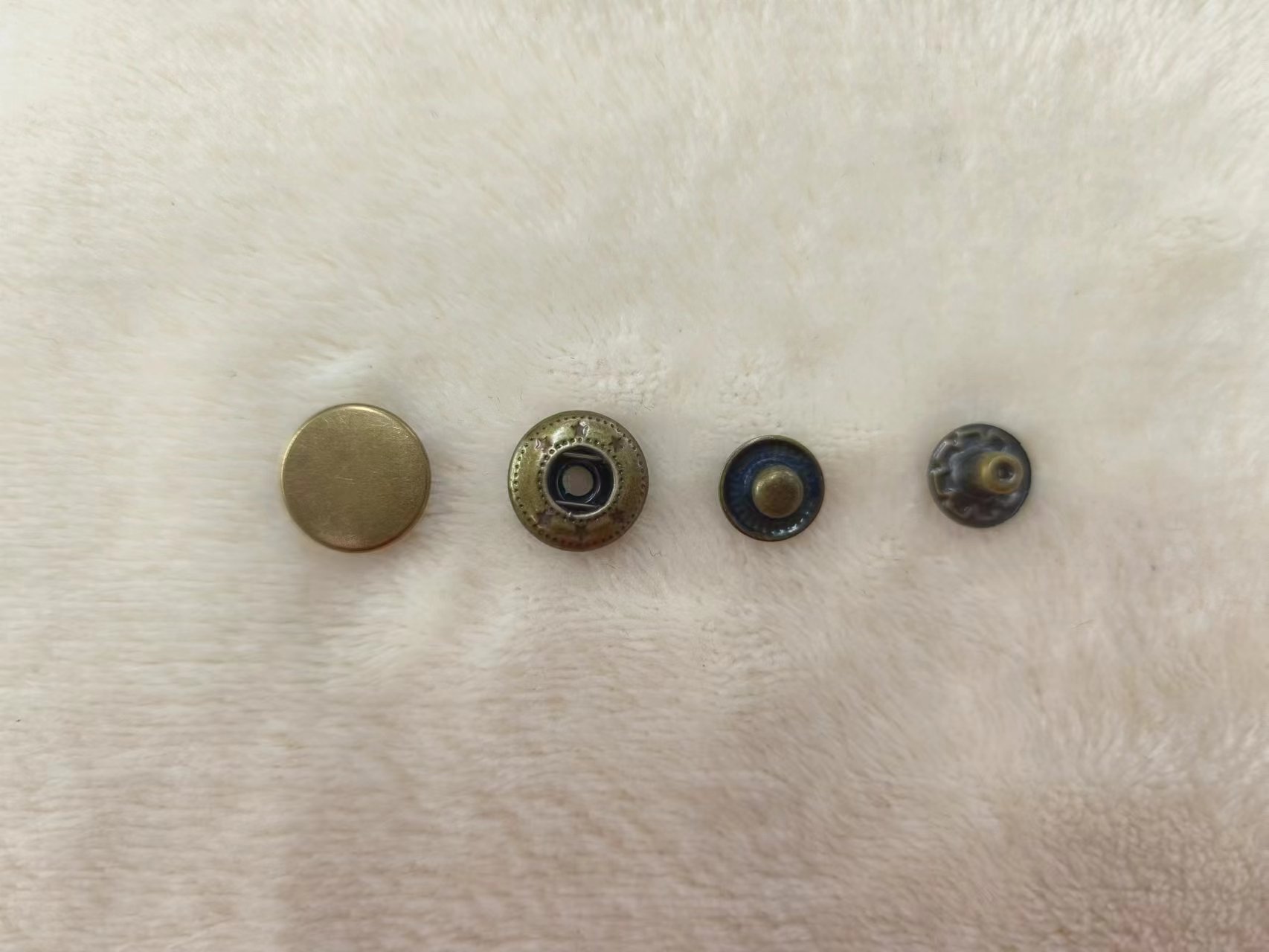 BU9245.jpg